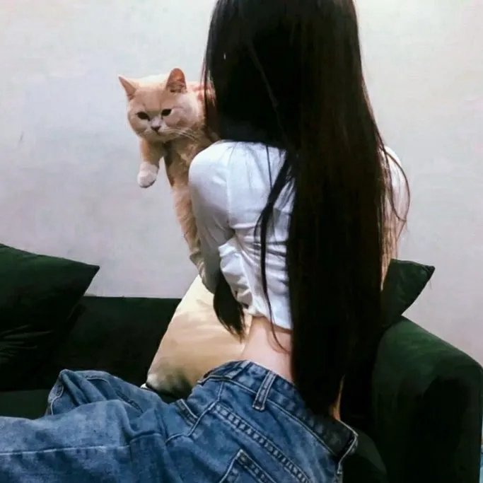 美丽的声音